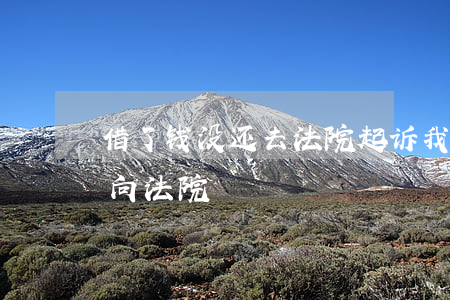 借了钱没还去法院起诉我了怎么办（借钱未还向法院）