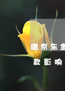 借京东金条有逾期影响房贷吗(京东金条有借款影响房贷吗)
