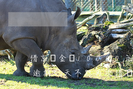 借京東金條10000元逾期十天(京東金條逾期5天不能再次借錢怎么辦)