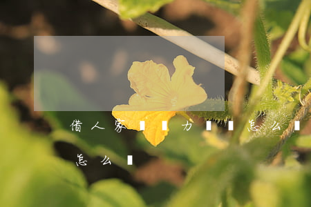 借人家錢無力償還怎么辦(借人家錢人家不還怎么辦)