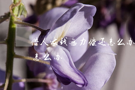 借人家钱无力偿还怎么办(借人家钱人家不还怎么办)