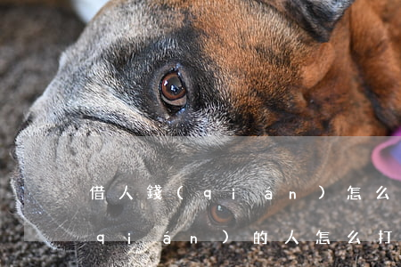 借人錢(qián)怎么要不傷感情（借錢(qián)的人怎么打官司）