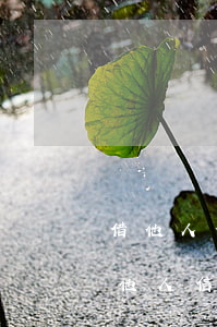 借他人信用卡套現(xiàn)后不還款(借他人信用卡套現(xiàn) 判決)