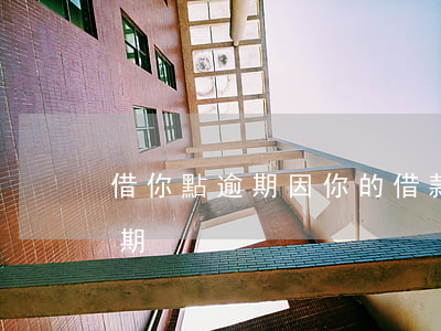 借你點逾期(因你的借款已嚴(yán)重逾期)