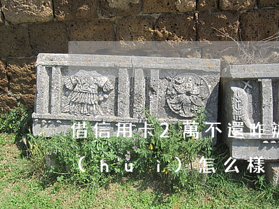 借信用卡2萬不還咋辦(信用卡欠2萬不還會(huì)怎么樣)