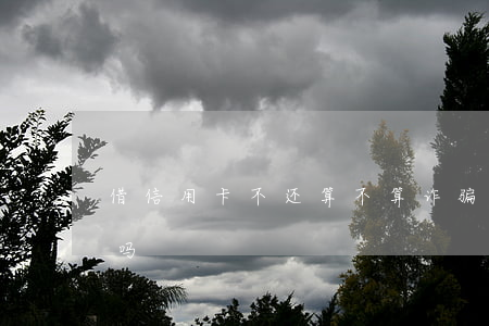 借信用卡不还算不算诈骗罪(有信用卡诈骗罪吗)