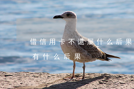 借信用卡不還屬什么后果(信用卡借錢不還會有什么后果)