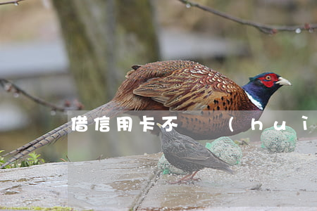 借信用卡不還會(huì)有什么后果