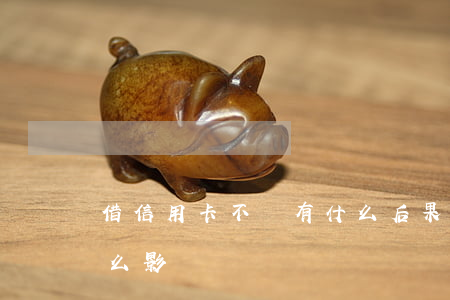 借信用卡不還有什么后果(信用卡不還會有什么影響)