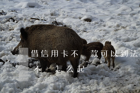 借信用卡不還款可以到法院起訴嗎(借信用卡不還怎么起訴)