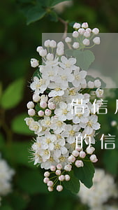 借信用卡不還的后果嚴(yán)重嗎(銀行的信用卡還不上有什么后果)