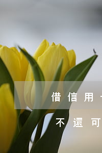 借信用卡不還能告他嗎(信用卡借出去了對方不還可以報警嗎?)