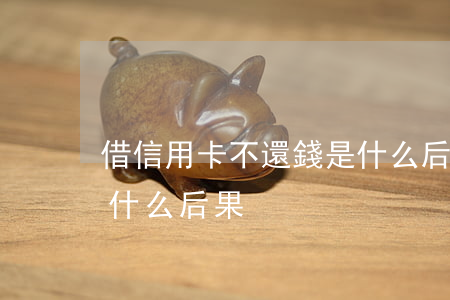 借信用卡不還錢是什么后果(信用卡不還錢有什么后果)