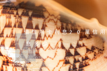 借信用卡利息20萬(信用卡20w一個月利息多少)