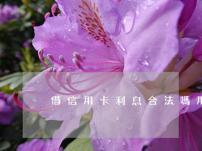 借信用卡利息合法嗎(用信用卡借錢利息高嗎)