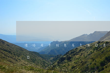 借信用卡利息高怎么辦(借信用卡利息高怎么辦)
