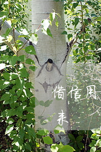 借信用卡刷了不还怎么办(信用卡还了刷不出来)