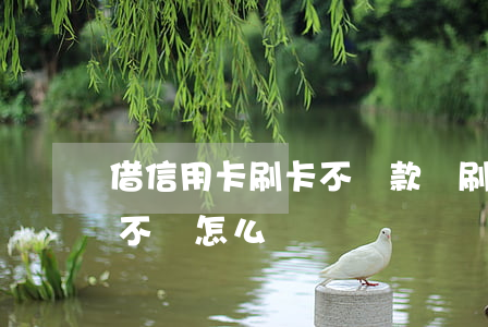 借信用卡刷卡不還款嗎(刷信用卡借給別人錢不還怎么辦)
