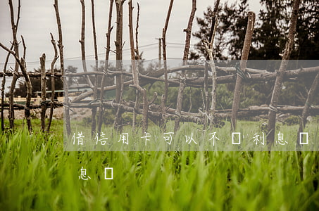 借信用卡可以不還利息嗎(信用卡還貸款要利息嗎)