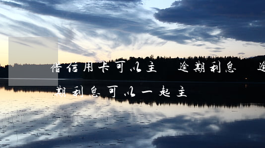 借信用卡可以主張逾期利息嗎 逾期利息和借期利息可以一起主張嗎