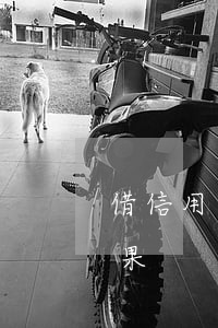 借信用卡欠逃到國外-欠信用卡逃到國外后果