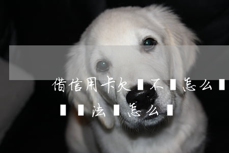 借信用卡欠錢不還怎么辦(如果欠信用卡的錢沒辦法還怎么辦)