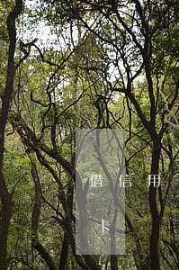 借信用卡沒還被法院起訴了會怎樣-借信用卡沒還被法院起訴了會怎樣處理