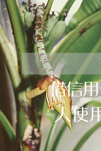 借信用卡給別人透支不還是(將信用卡借給他人使用透支)