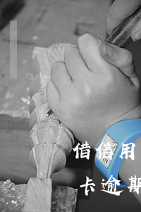 借信用卡逾期不還會是什么后果（還不上信用卡逾期的后果）