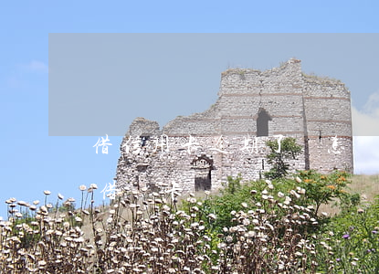 借信用卡逾期了會怎樣（信用卡逾期了會影響借記卡嗎）