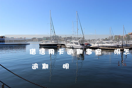 借信用卡逾期事宜說明(怎么給銀行寫信用卡逾期說明)