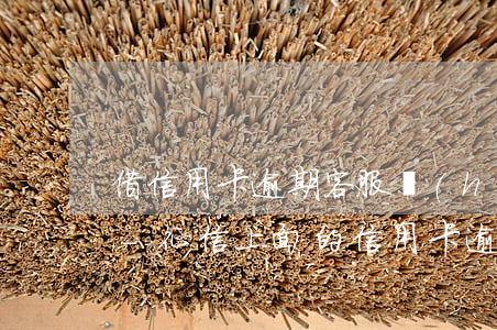 借信用卡逾期客服會(huì)幫助取消嗎-征信上面的信用卡逾期怎么樣會(huì)取消