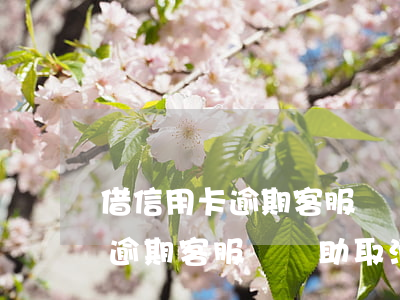 借信用卡逾期客服會幫助取消嗎-借信用卡逾期客服會幫助取消嗎知乎