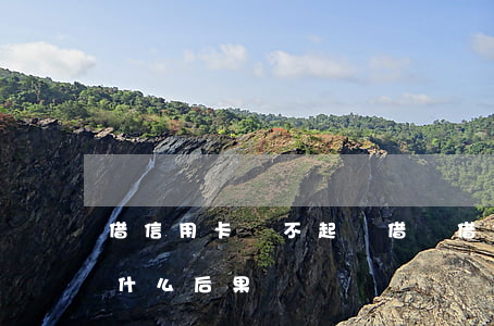 借信用卡還不起寫借條(借信用卡還不起會是什么后果)