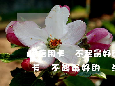 借信用卡還不起最好的辦法是什么-借信用卡還不起最好的辦法是什么呢