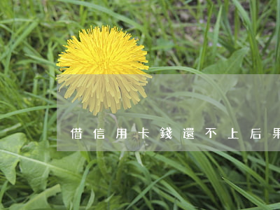 借信用卡錢還不上后果(信用卡還不上的后果)