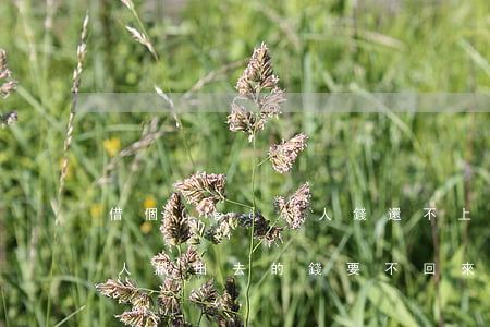 借個(gè)人錢還不上怎么辦(個(gè)人借出去的錢要不回來(lái)怎么辦)