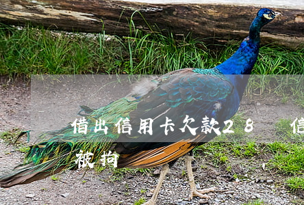 借出信用卡欠款28萬(信用卡欠款8000被拘)