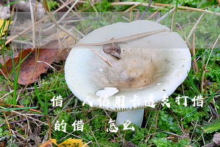 借別人信用卡透支打借條(把信用卡借給別人的借條怎么寫)
