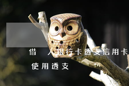 借別人銀行卡透支信用卡(將信用卡借給他人使用透支)