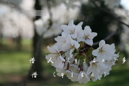 借別人錢(qián)多少年不還告不了了(借錢(qián)給別人多久不還就不能起訴了)