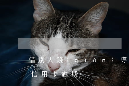 借別人錢(qián)導(dǎo)致自己信用卡逾期