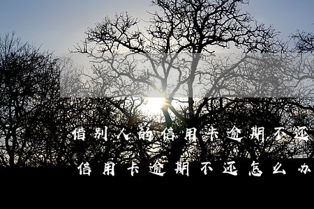 借别人的信用卡逾期不还怎么办-借别人的信用卡逾期不还怎么办理