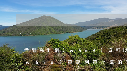 借到高利網(wǎng)貸可以不還嗎(網(wǎng)貸高利貸不還的真實(shí)后果)