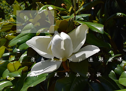 借去花App逾期会爆通讯录吗-借去花逾期一天怎么补救