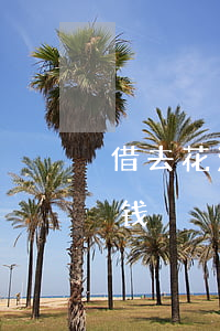 借去花没有逾期但是借不了-借去花借不了钱