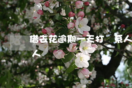 借去花逾期一天：打聯系人、催收，甚至波及家人