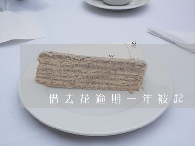 借去花逾期一年被起訴(借去花逾期兩年了)