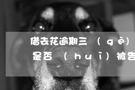 借去花逾期三個(gè)月兩萬(wàn)是否會(huì)被告上法庭并可能入獄？