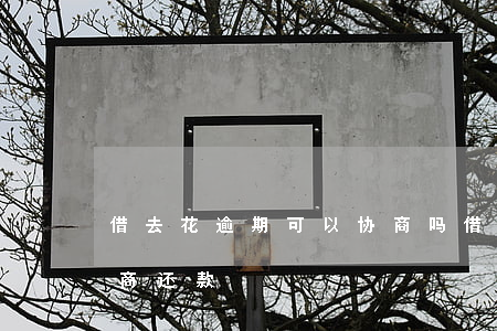 借去花逾期可以协商吗（借去花没逾期怎么协商还款）